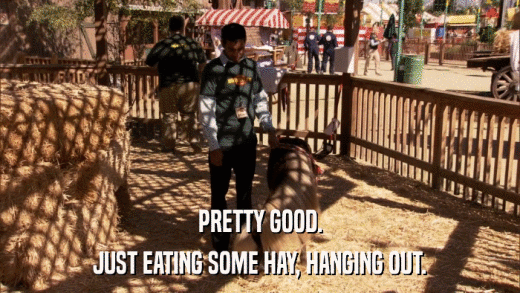 PRETTY GOOD. JUST EATING SOME HAY, HANGING OUT. 