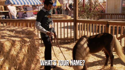 WHAT'S YOUR NAME?  