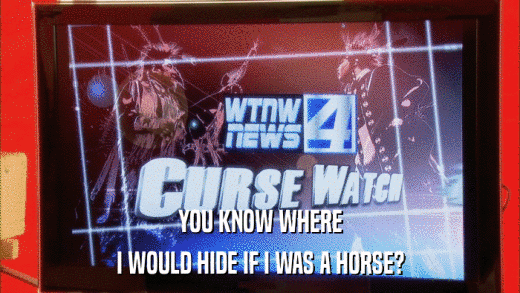 YOU KNOW WHERE I WOULD HIDE IF I WAS A HORSE? 