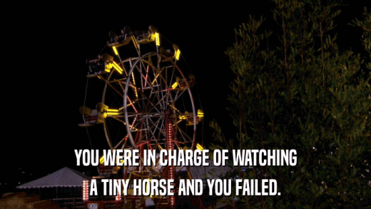 YOU WERE IN CHARGE OF WATCHING A TINY HORSE AND YOU FAILED. 