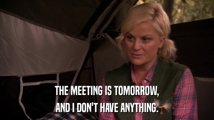 THE MEETING IS TOMORROW, AND I DON'T HAVE ANYTHING. 