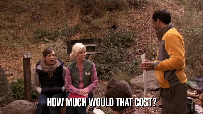 HOW MUCH WOULD THAT COST?  