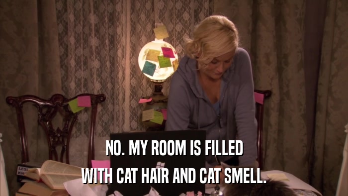 NO. MY ROOM IS FILLED WITH CAT HAIR AND CAT SMELL. 