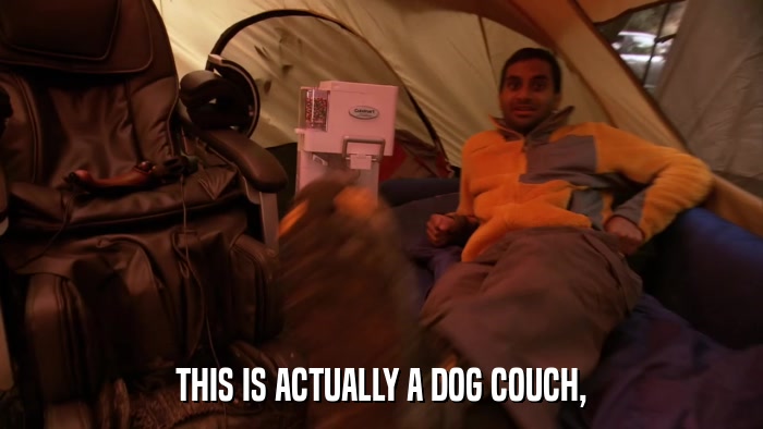 THIS IS ACTUALLY A DOG COUCH,  