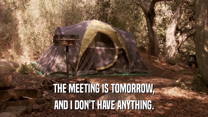THE MEETING IS TOMORROW, AND I DON'T HAVE ANYTHING. 