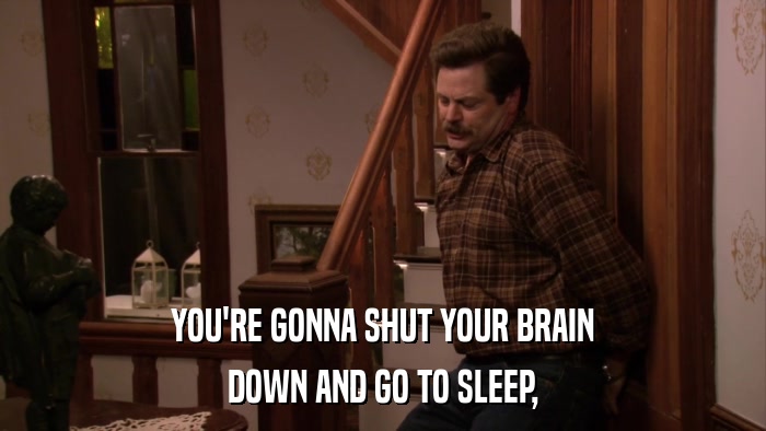 YOU'RE GONNA SHUT YOUR BRAIN DOWN AND GO TO SLEEP, 