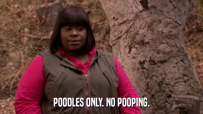 POODLES ONLY. NO POOPING.  
