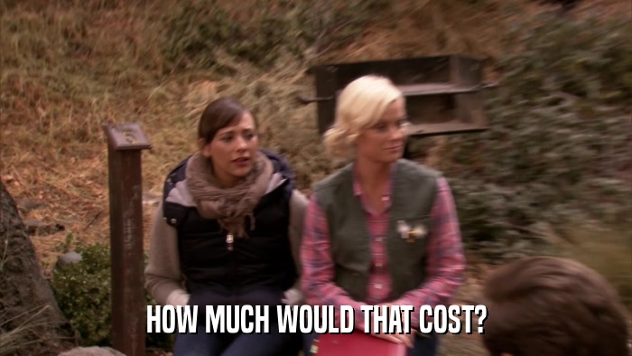 HOW MUCH WOULD THAT COST?  