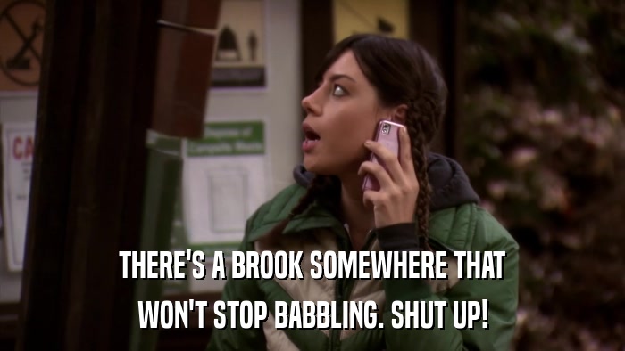 THERE'S A BROOK SOMEWHERE THAT WON'T STOP BABBLING. SHUT UP! 