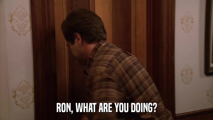 RON, WHAT ARE YOU DOING?  