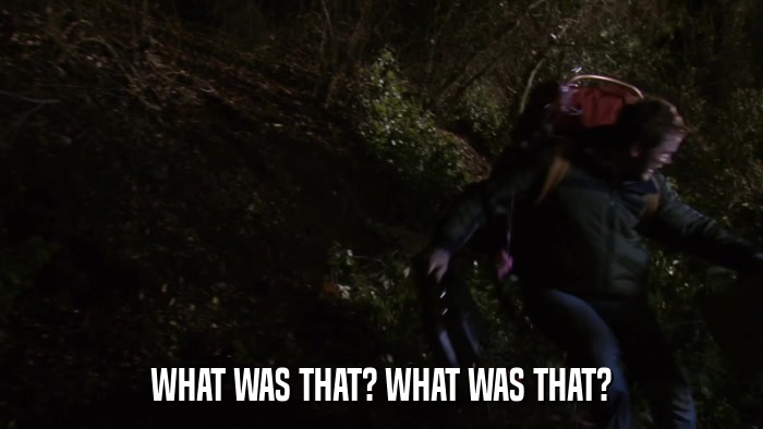 WHAT WAS THAT? WHAT WAS THAT?  