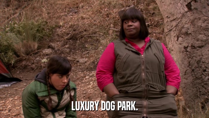 LUXURY DOG PARK.  