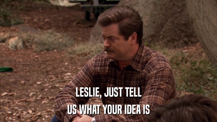 LESLIE, JUST TELL US WHAT YOUR IDEA IS 