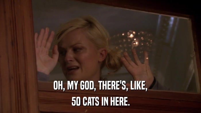 OH, MY GOD, THERE'S, LIKE, 50 CATS IN HERE. 
