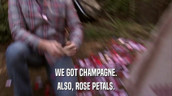 WE GOT CHAMPAGNE. ALSO, ROSE PETALS. 