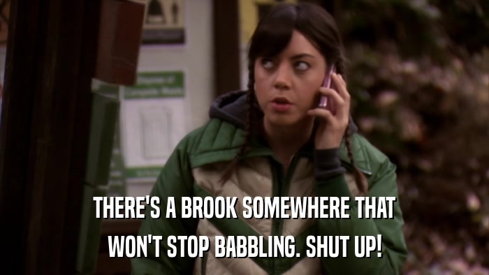 THERE'S A BROOK SOMEWHERE THAT WON'T STOP BABBLING. SHUT UP! 