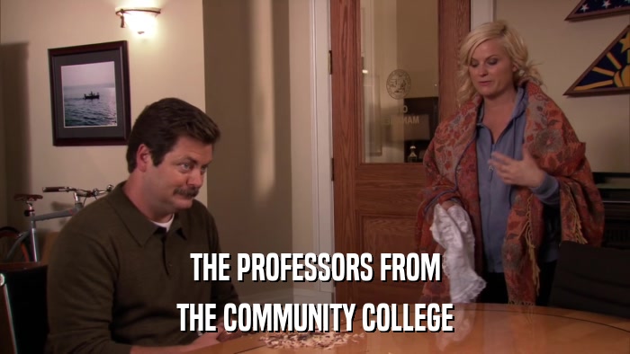 THE PROFESSORS FROM THE COMMUNITY COLLEGE 