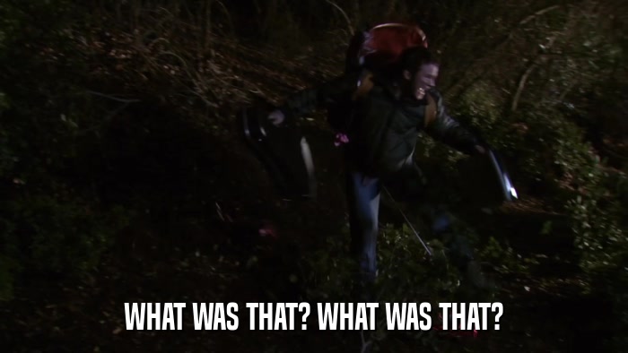 WHAT WAS THAT? WHAT WAS THAT?  
