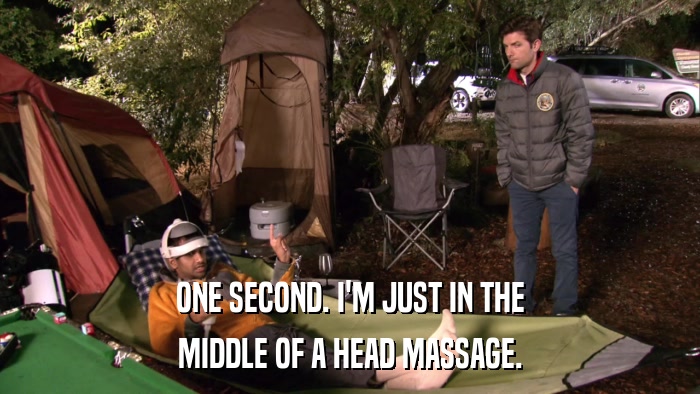 ONE SECOND. I'M JUST IN THE MIDDLE OF A HEAD MASSAGE. 
