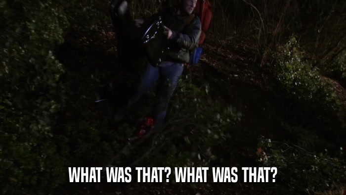 WHAT WAS THAT? WHAT WAS THAT?  