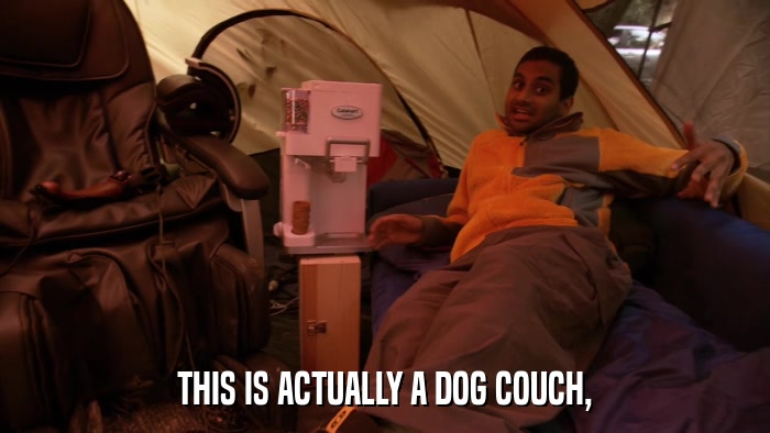 THIS IS ACTUALLY A DOG COUCH,  