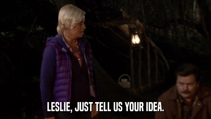 LESLIE, JUST TELL US YOUR IDEA.  