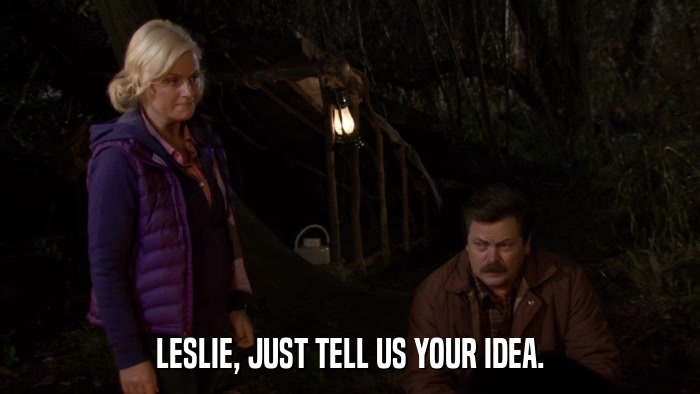 LESLIE, JUST TELL US YOUR IDEA.  