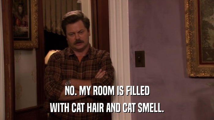NO. MY ROOM IS FILLED WITH CAT HAIR AND CAT SMELL. 