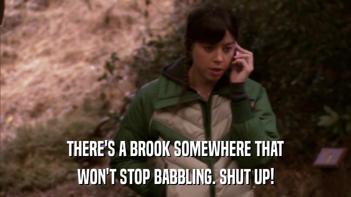 THERE'S A BROOK SOMEWHERE THAT WON'T STOP BABBLING. SHUT UP! 