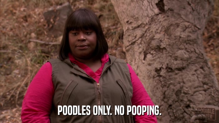 POODLES ONLY. NO POOPING.  