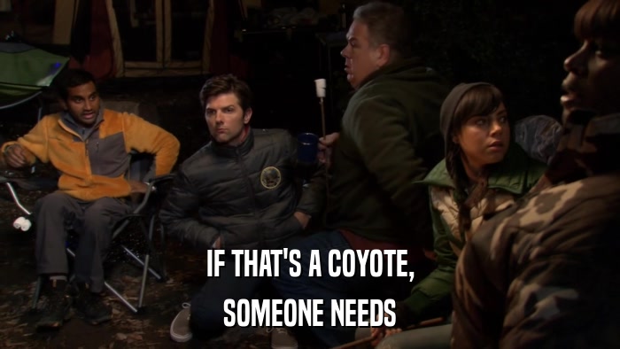 IF THAT'S A COYOTE, SOMEONE NEEDS 