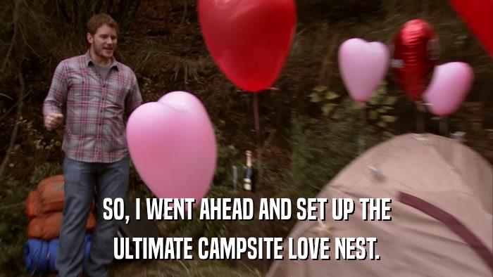 SO, I WENT AHEAD AND SET UP THE ULTIMATE CAMPSITE LOVE NEST. 