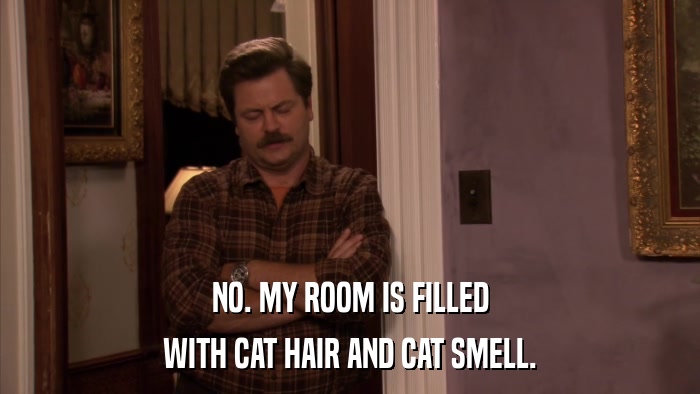 NO. MY ROOM IS FILLED WITH CAT HAIR AND CAT SMELL. 