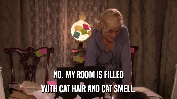 NO. MY ROOM IS FILLED WITH CAT HAIR AND CAT SMELL. 