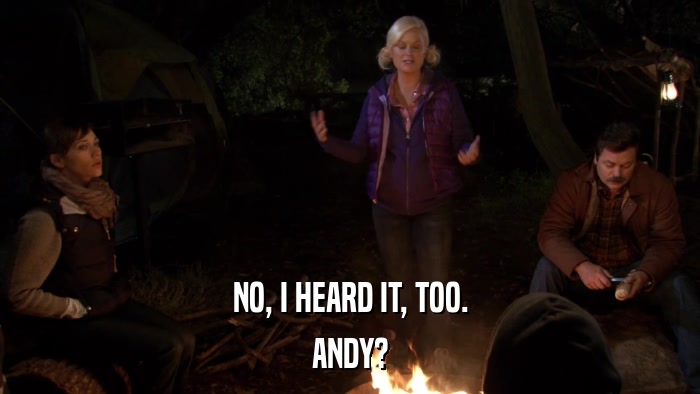 NO, I HEARD IT, TOO. ANDY? 