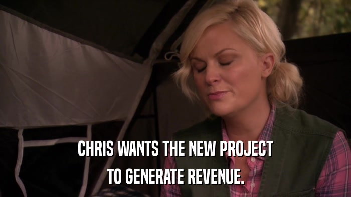 CHRIS WANTS THE NEW PROJECT TO GENERATE REVENUE. 