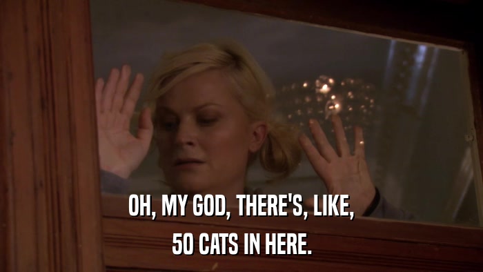 OH, MY GOD, THERE'S, LIKE, 50 CATS IN HERE. 
