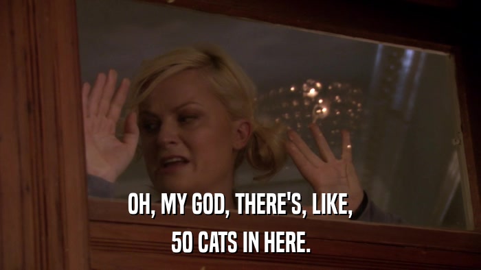 OH, MY GOD, THERE'S, LIKE, 50 CATS IN HERE. 