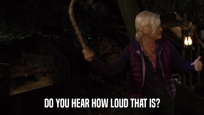 DO YOU HEAR HOW LOUD THAT IS?  