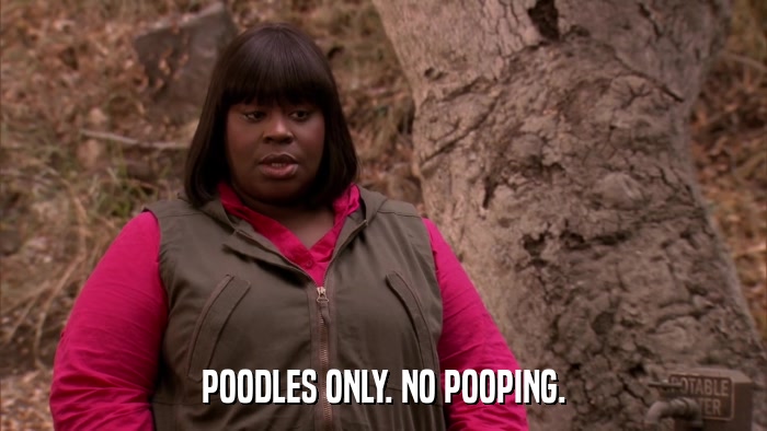 POODLES ONLY. NO POOPING.  