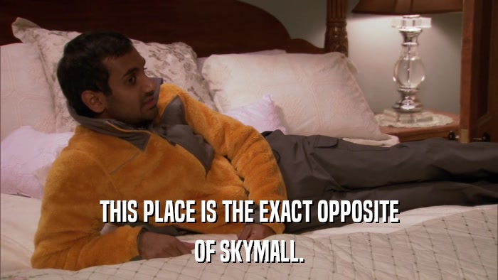 THIS PLACE IS THE EXACT OPPOSITE OF SKYMALL. 