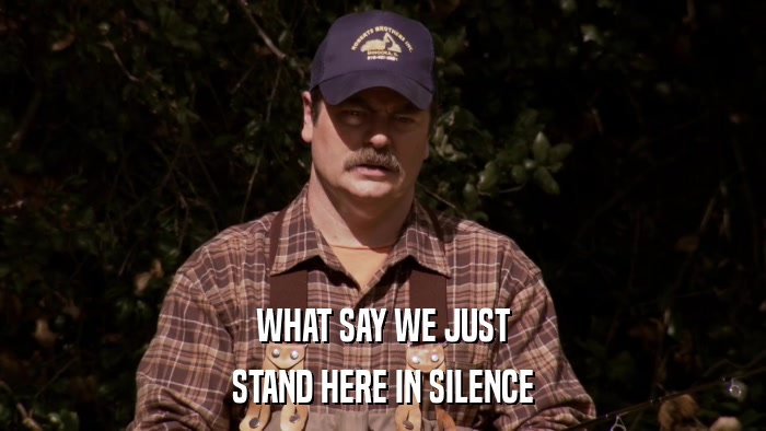 WHAT SAY WE JUST STAND HERE IN SILENCE 