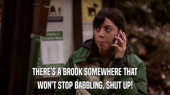 THERE'S A BROOK SOMEWHERE THAT WON'T STOP BABBLING. SHUT UP! 