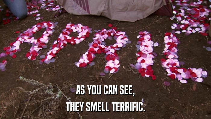 AS YOU CAN SEE, THEY SMELL TERRIFIC. 