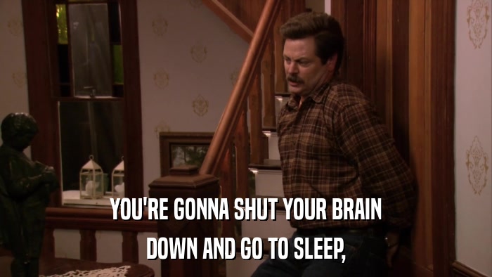 YOU'RE GONNA SHUT YOUR BRAIN DOWN AND GO TO SLEEP, 