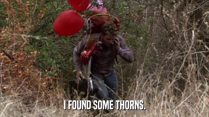 I FOUND SOME THORNS.  