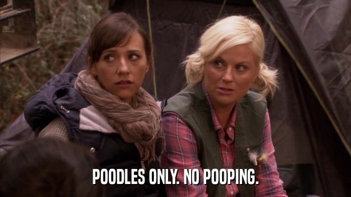 POODLES ONLY. NO POOPING.  
