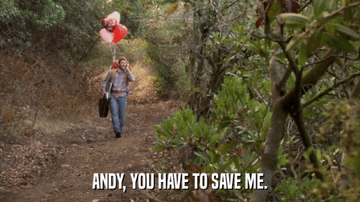 ANDY, YOU HAVE TO SAVE ME.  