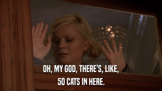 OH, MY GOD, THERE'S, LIKE, 50 CATS IN HERE. 