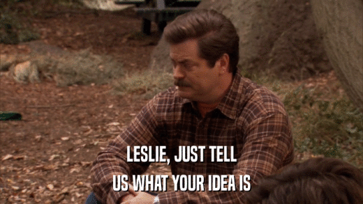LESLIE, JUST TELL US WHAT YOUR IDEA IS 